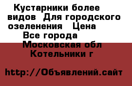 Кустарники более 100 видов. Для городского озеленения › Цена ­ 70 - Все города  »    . Московская обл.,Котельники г.